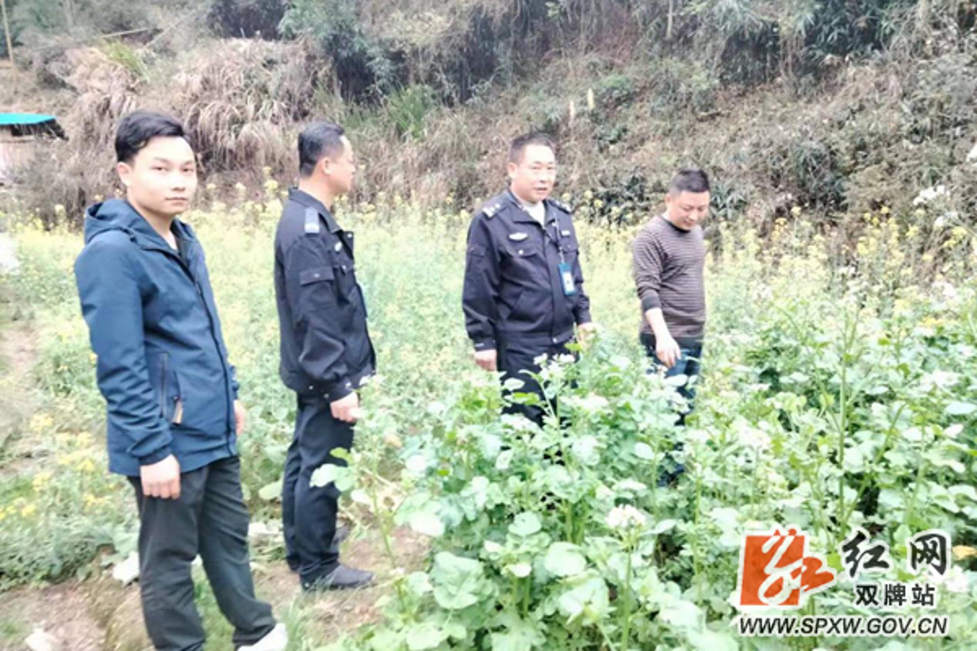 兴亚能源